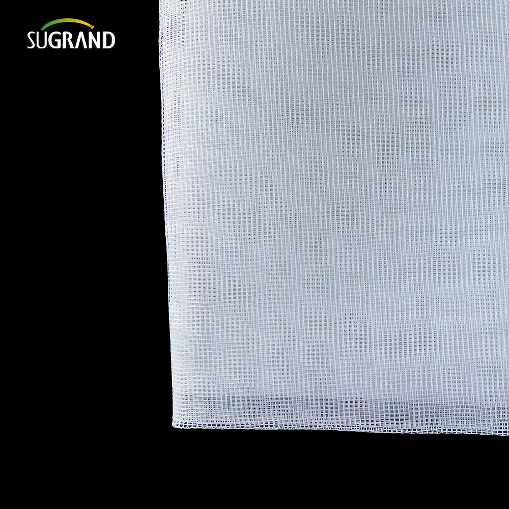 Mesh reti di reticolo in fibra di vetro in fibra di vetro in fibra di vetro di buona qualità