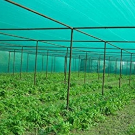 Scegli la rete per ombra giusta per aumentare il tuo raccolto