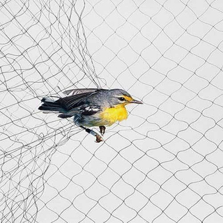 Bird Mist Nets per catturare gli uccelli