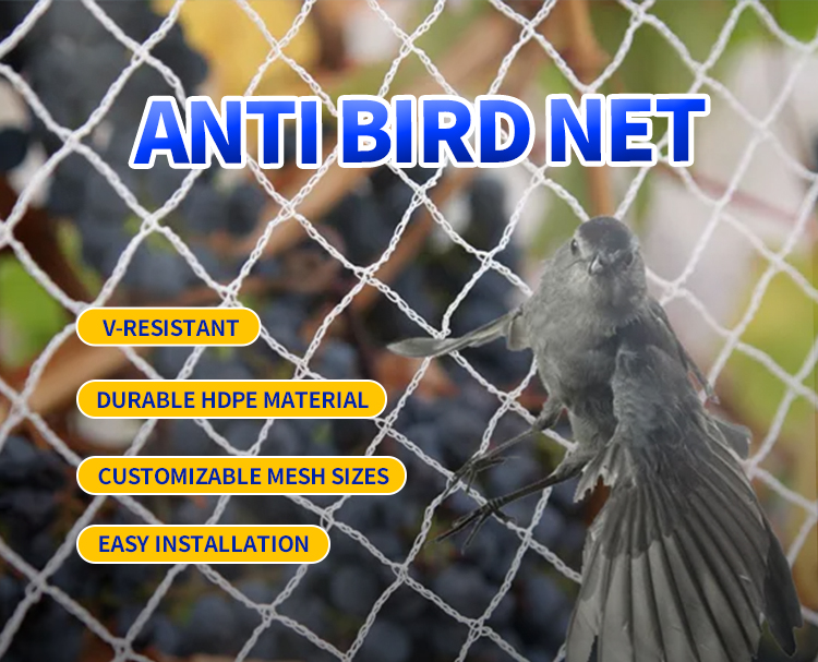 Rete anti -uccello annodata