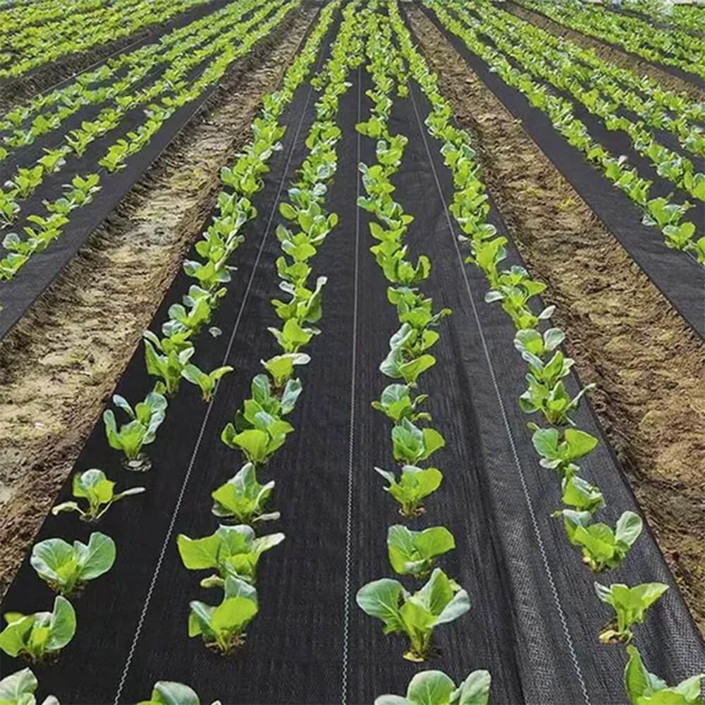 Fabbrica di tessuti per paesaggi di copertura del terreno verde scuro