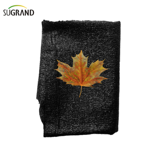 80 gsm Green and Black Six Negle Shade Net