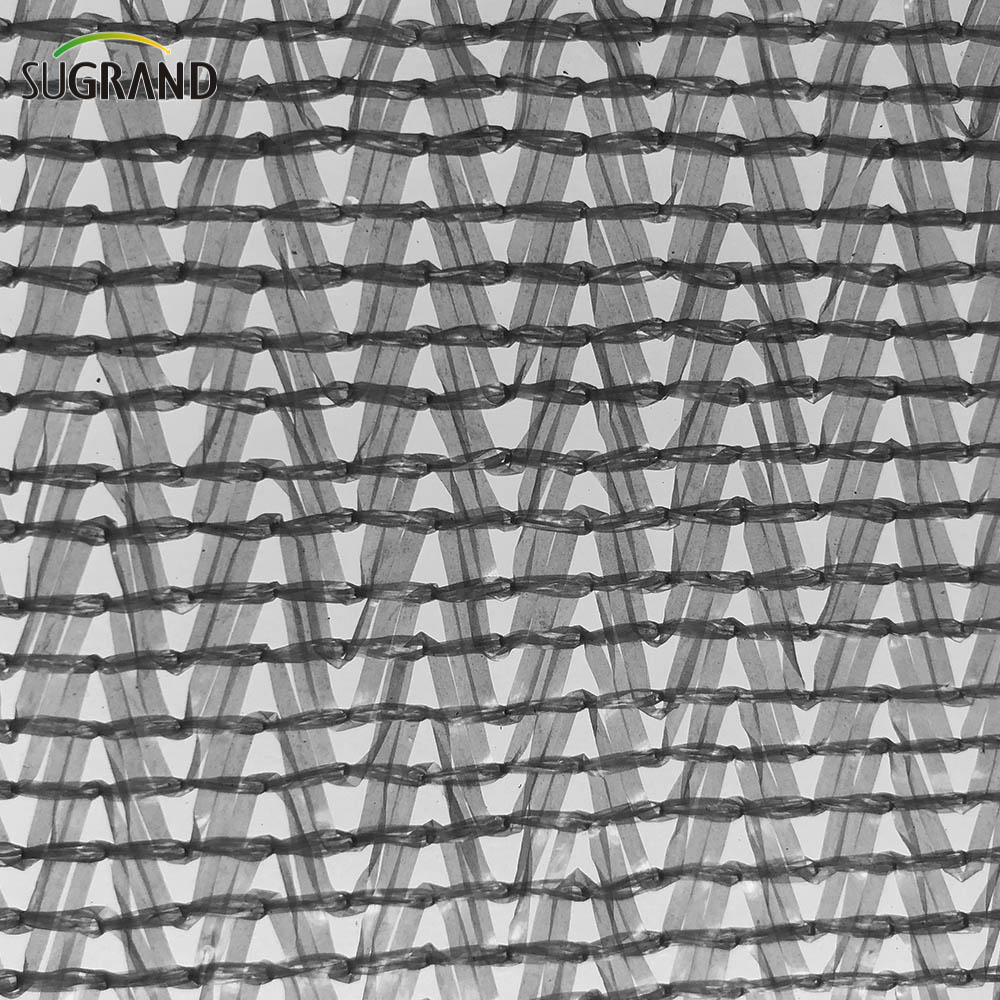 Sei aghi mono nastro mono grigio rete