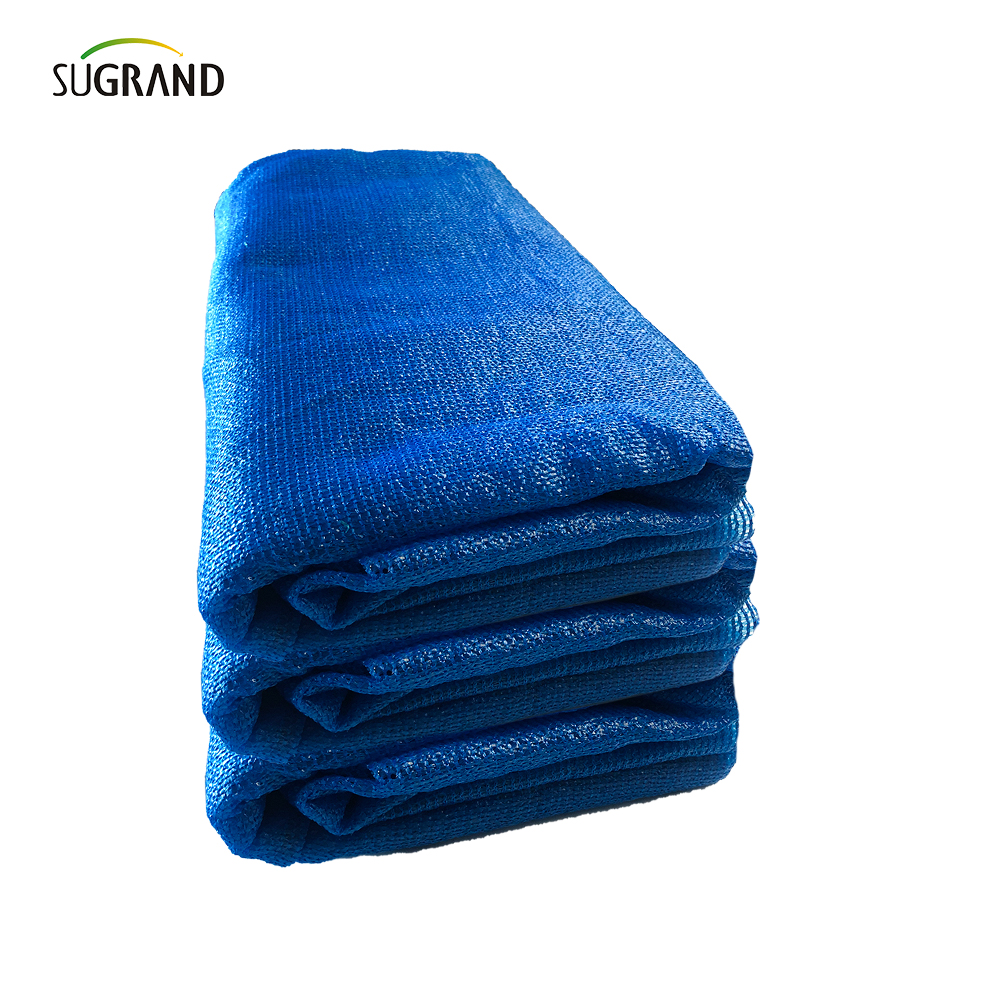 Due aghi blu nastro blu + reti tonalità