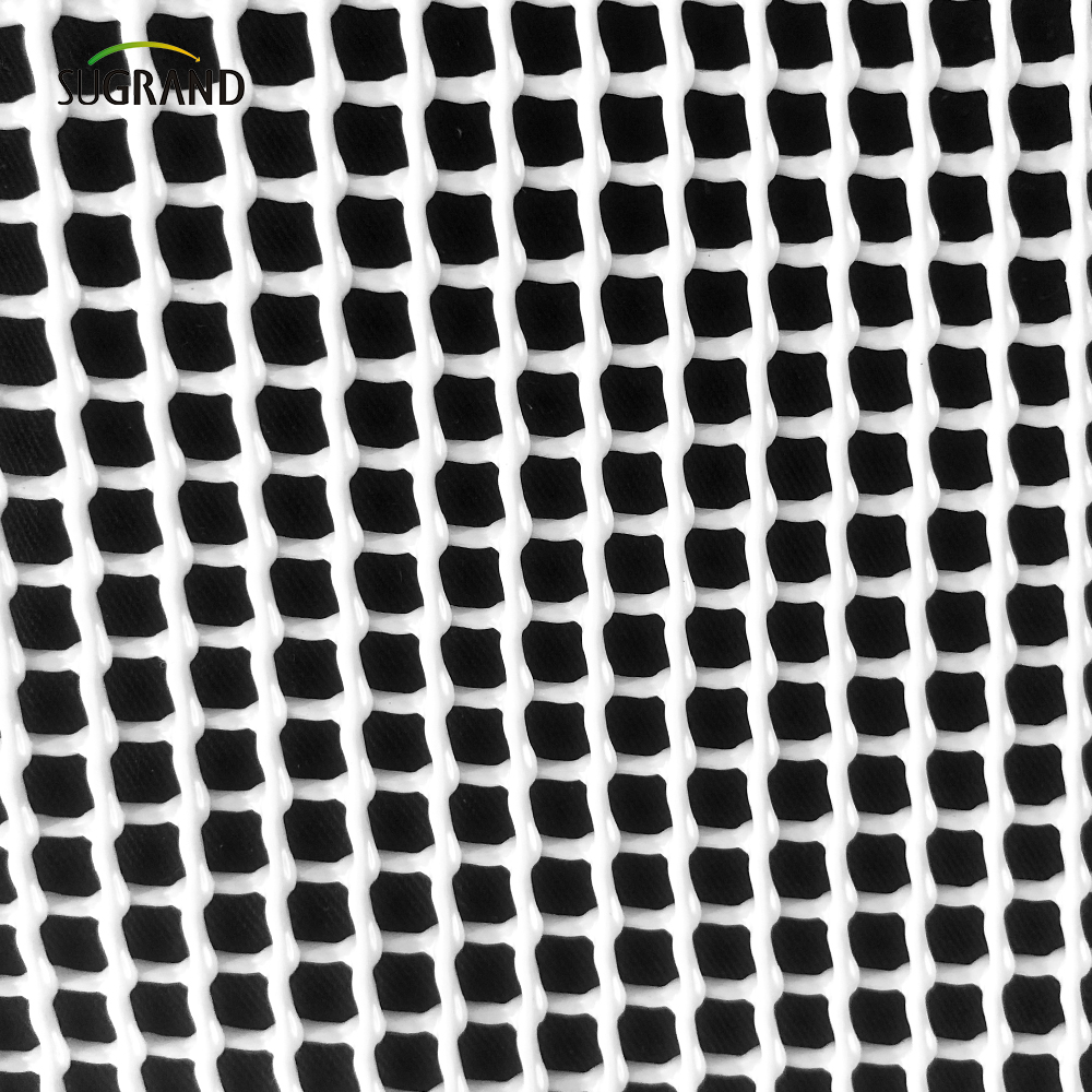Trellis in mesh in PVC allungato BOP per la protezione della crescita della frutta