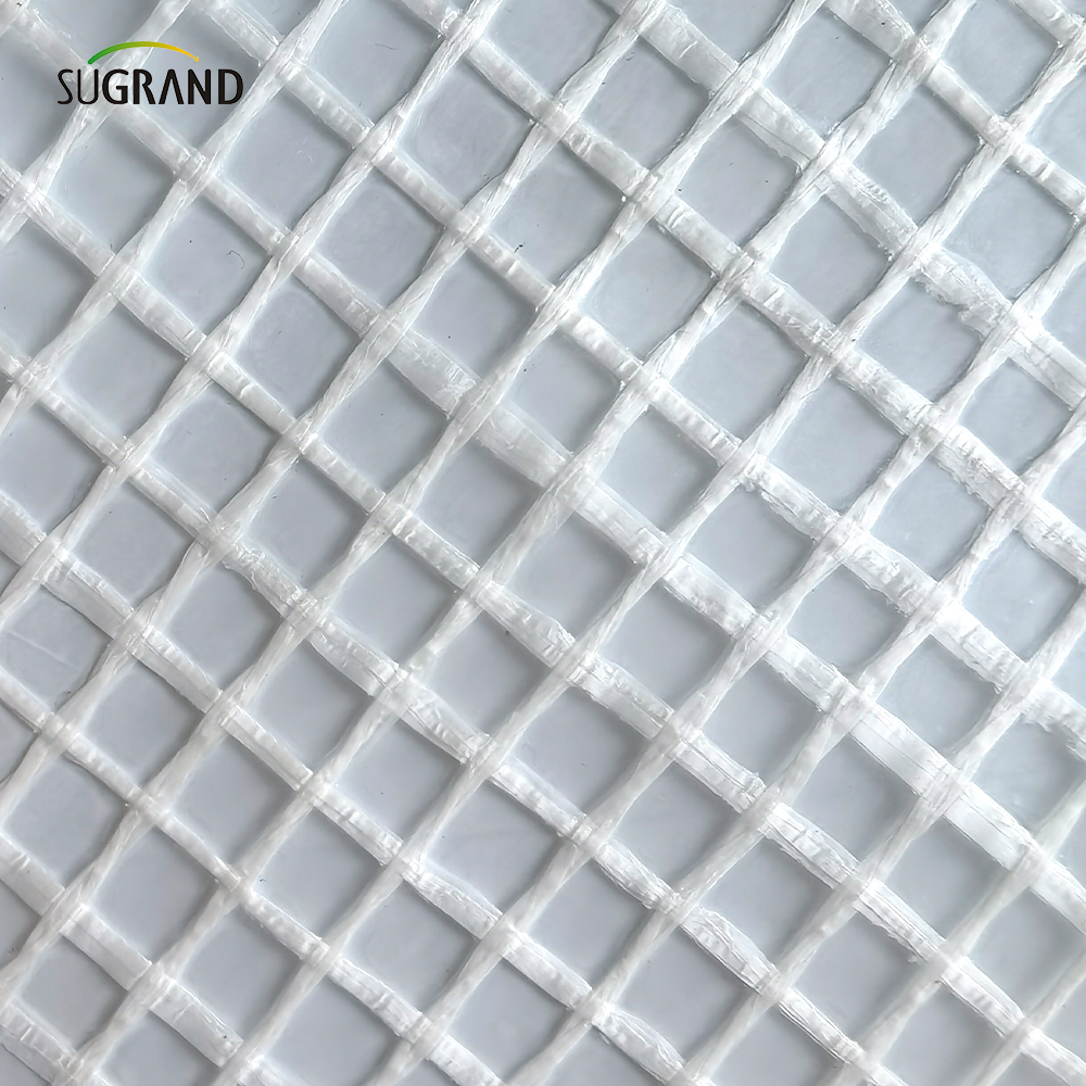 800 g di ritardatario di incendio 3*45m per la reti del ponteggio