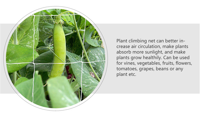 plant support net 4 rete sostegno piante 4