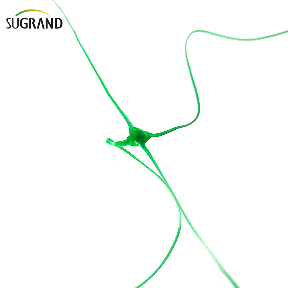 HDPE Plant Protection Net Plant Support Support Net Climbing Trellis Net