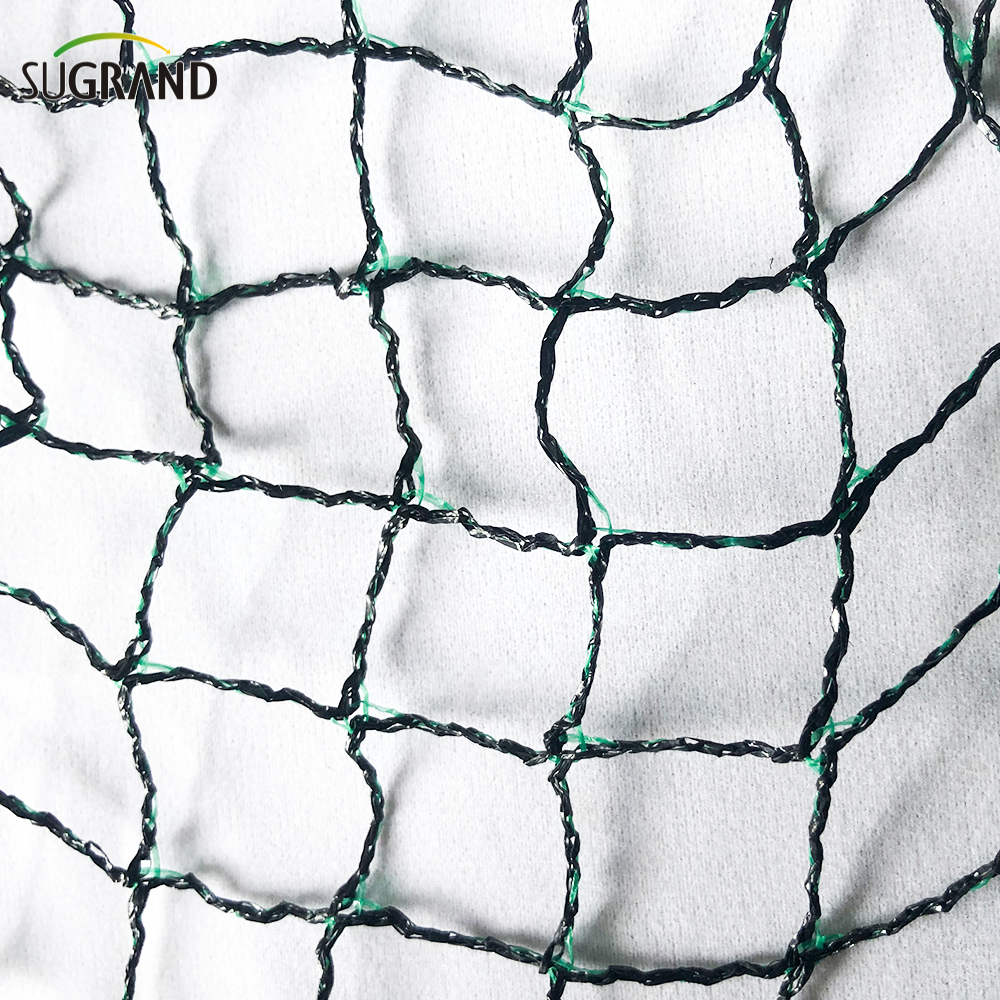 NETTINA DEI BIRCI PER FRUTTO MEGHT BLACI e VERDE PICCIO