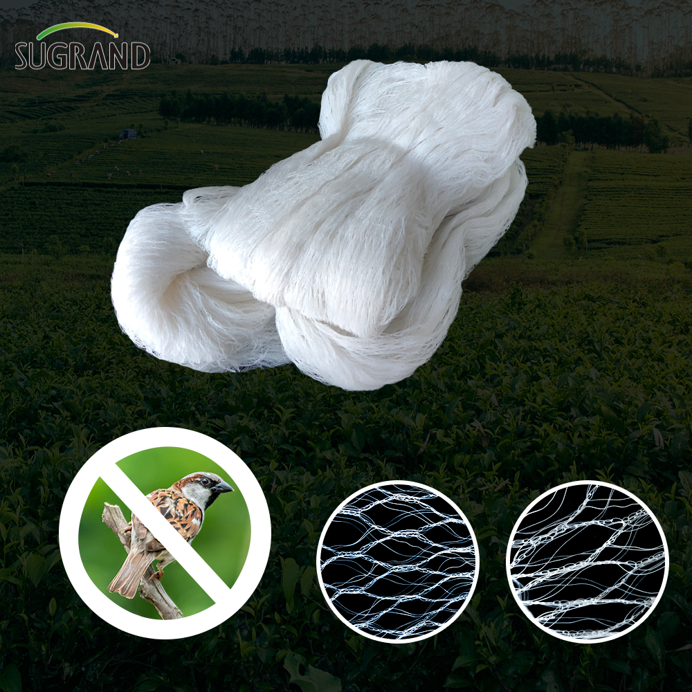 Qual è il vantaggio di Anti Bird Net?