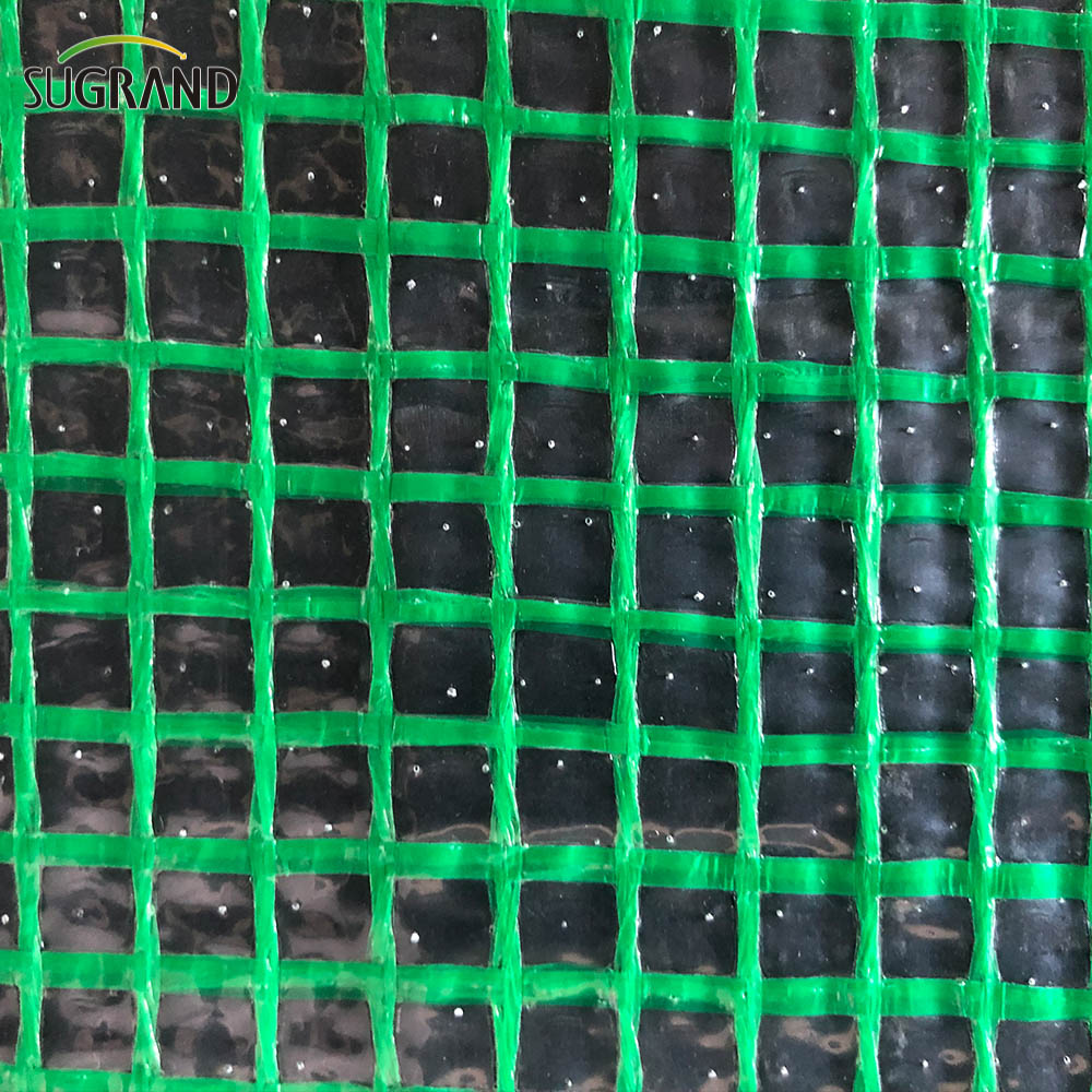 Tarpaulin per mesh netta di sicurezza in mesh di sicurezza per costruzione