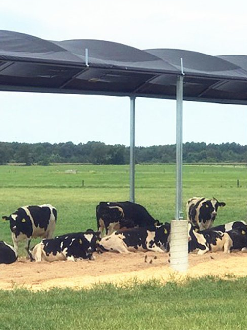 Agriculture Shade Net