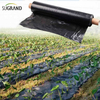 Biotelo Film Pacciamante Biodegradabile Agriplast Pacciamatura Agri Mulch