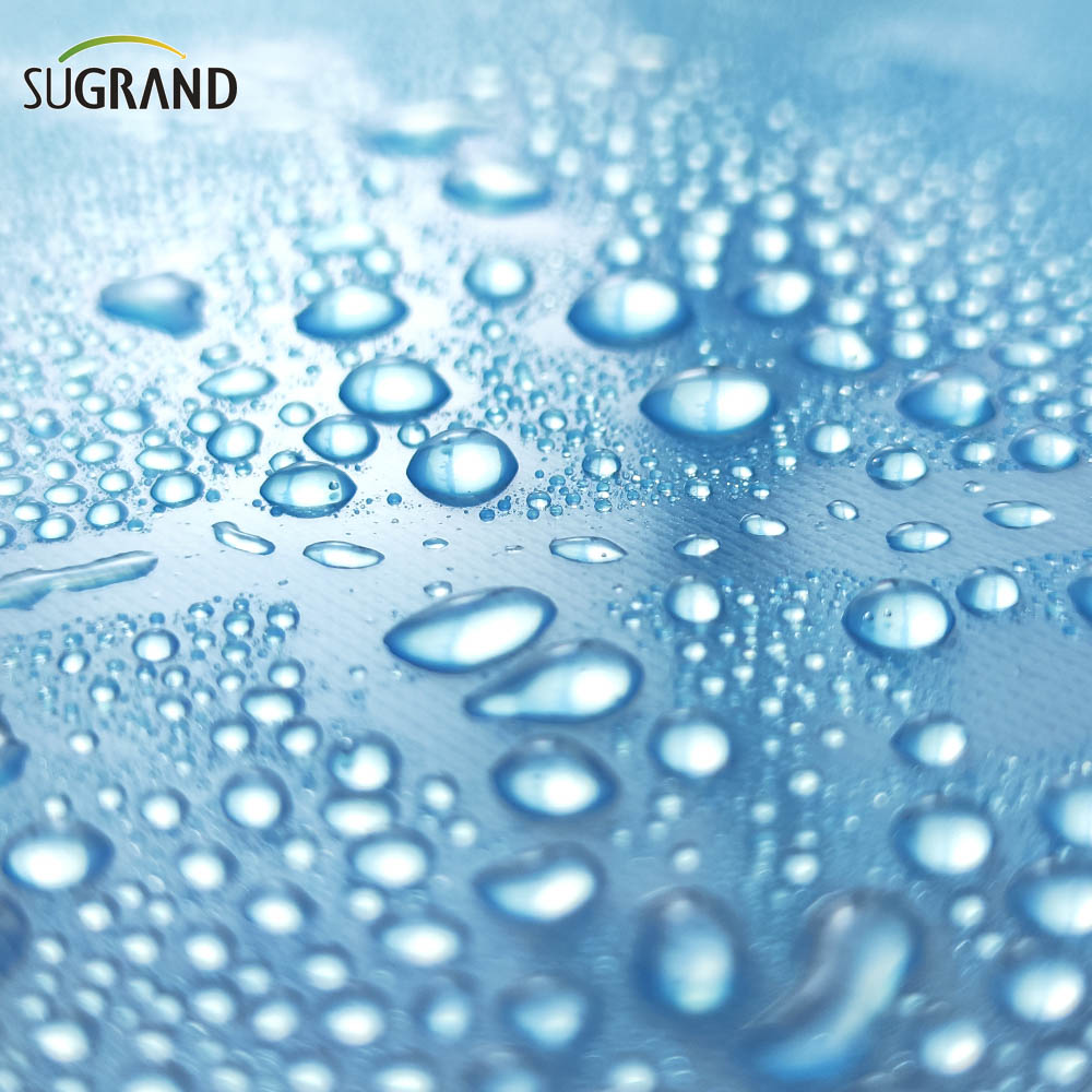  6 mil film in polietilene serra pellicola in plastica serra blu 