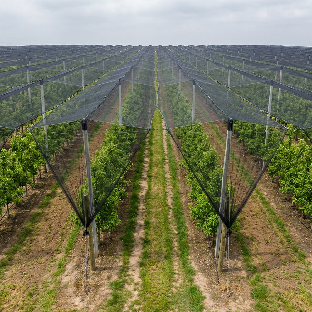 SUGRAND Rete Antigrandine per Frutteti Agricoli