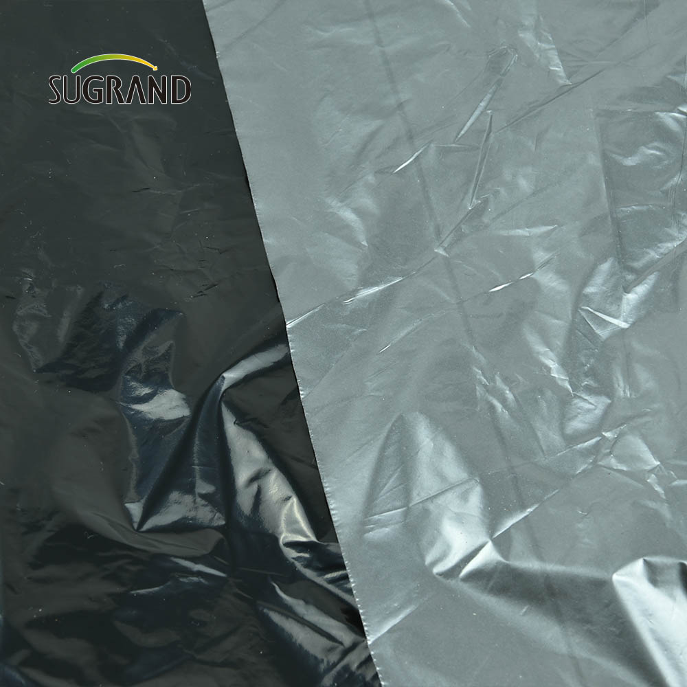 Prezzo di fabbrica a buon mercato Black Plastic Mulch Biodegradable UV Much Film per agricoltura