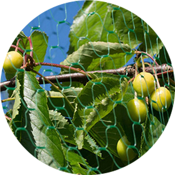 produttore di net anti -uccelli