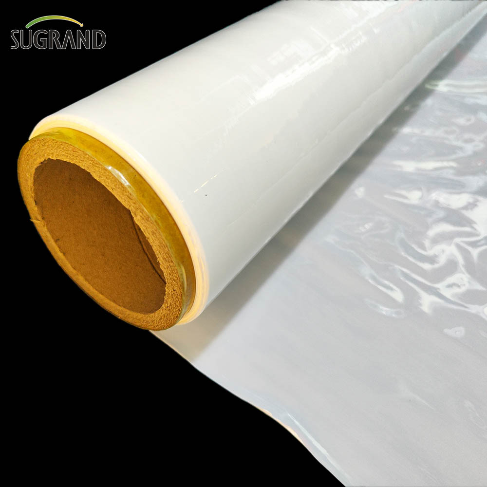 Film di insilato Film di elasticità bianca / nera insilato