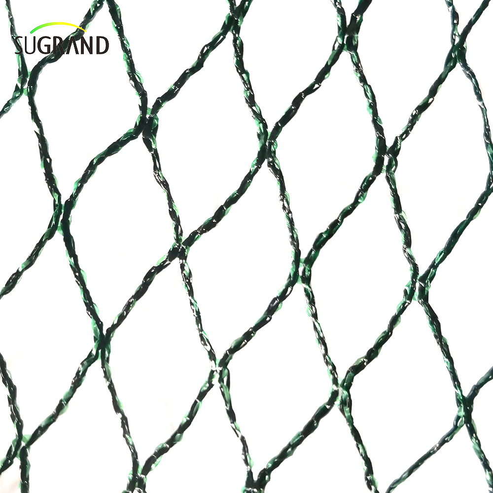 Repubblica ceca 100% HDPE+UV 25GSM 20*20mm Mesh 5*6/12M Agricoltura verde nero Cattura della nebbia di uccelli