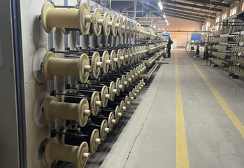 Disegno di filo netto di insetti