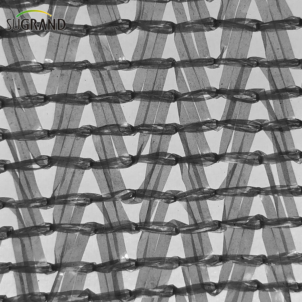 Sei aghi mono nastro mono grigio rete