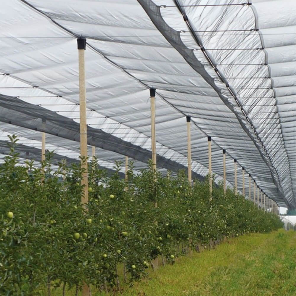 Rete antigrandine lavorata a maglia di alta qualità per vigneti