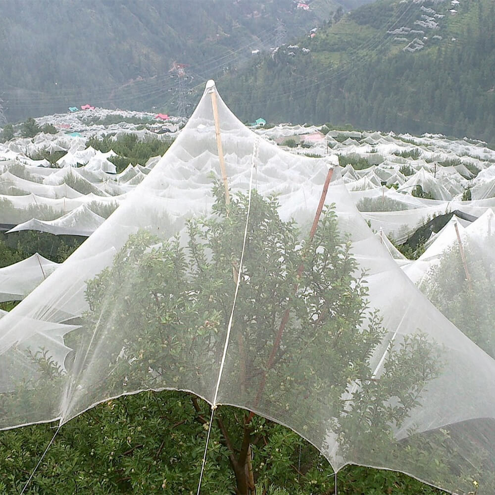 Rete antigrandine lavorata a maglia di alta qualità per vigneti