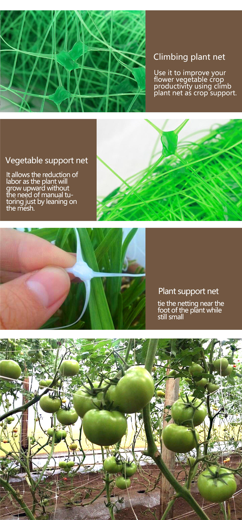 plant support net 7 rete di sostegno delle piante 7