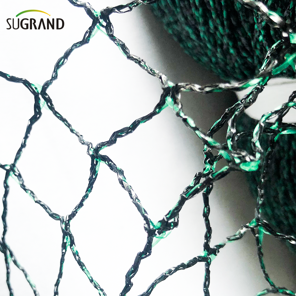 NETTINA DEI BIRCI PER FRUTTO MEGHT BLACI e VERDE PICCIO