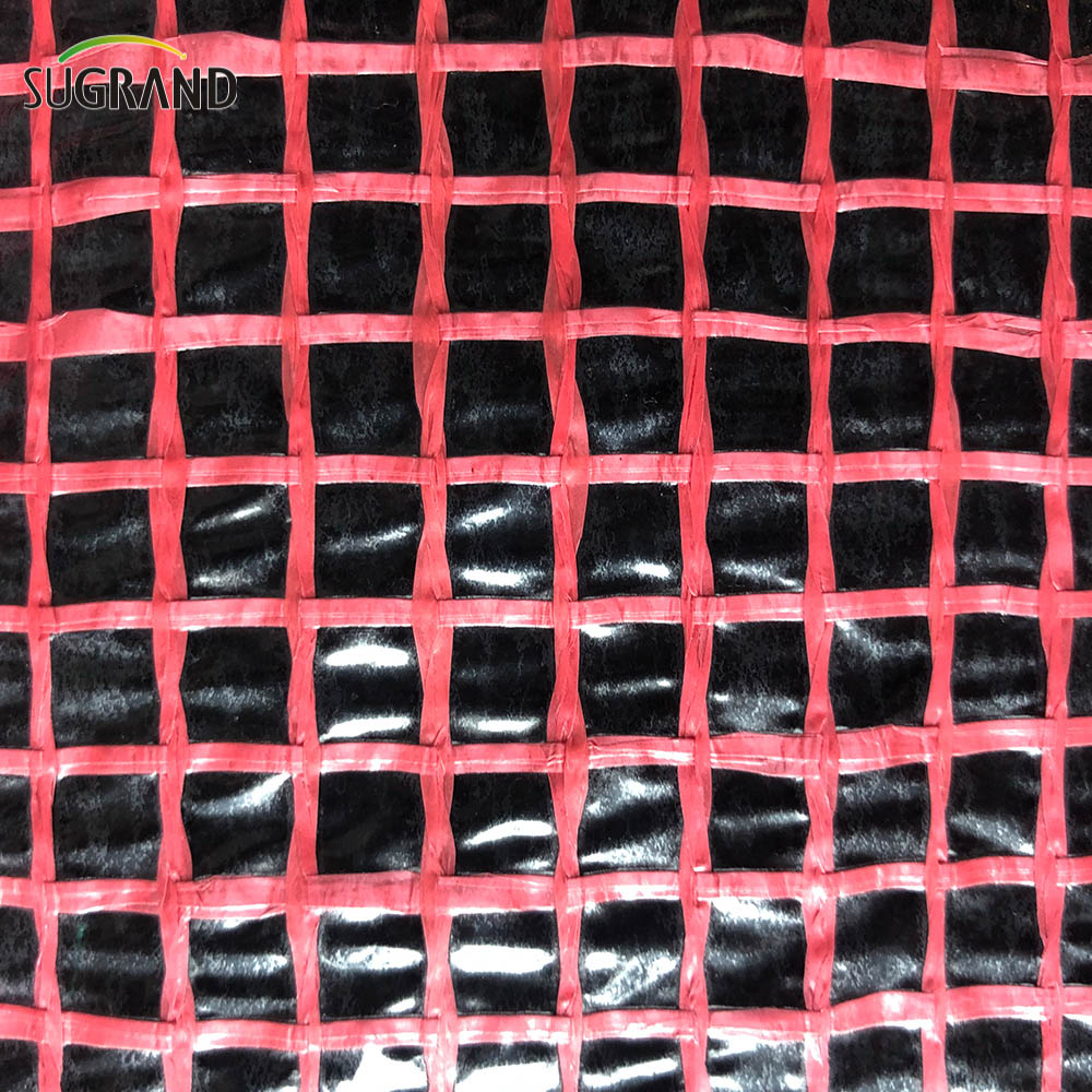 Telaio in rete di impalcature di plastica Tarpaulin trasparente