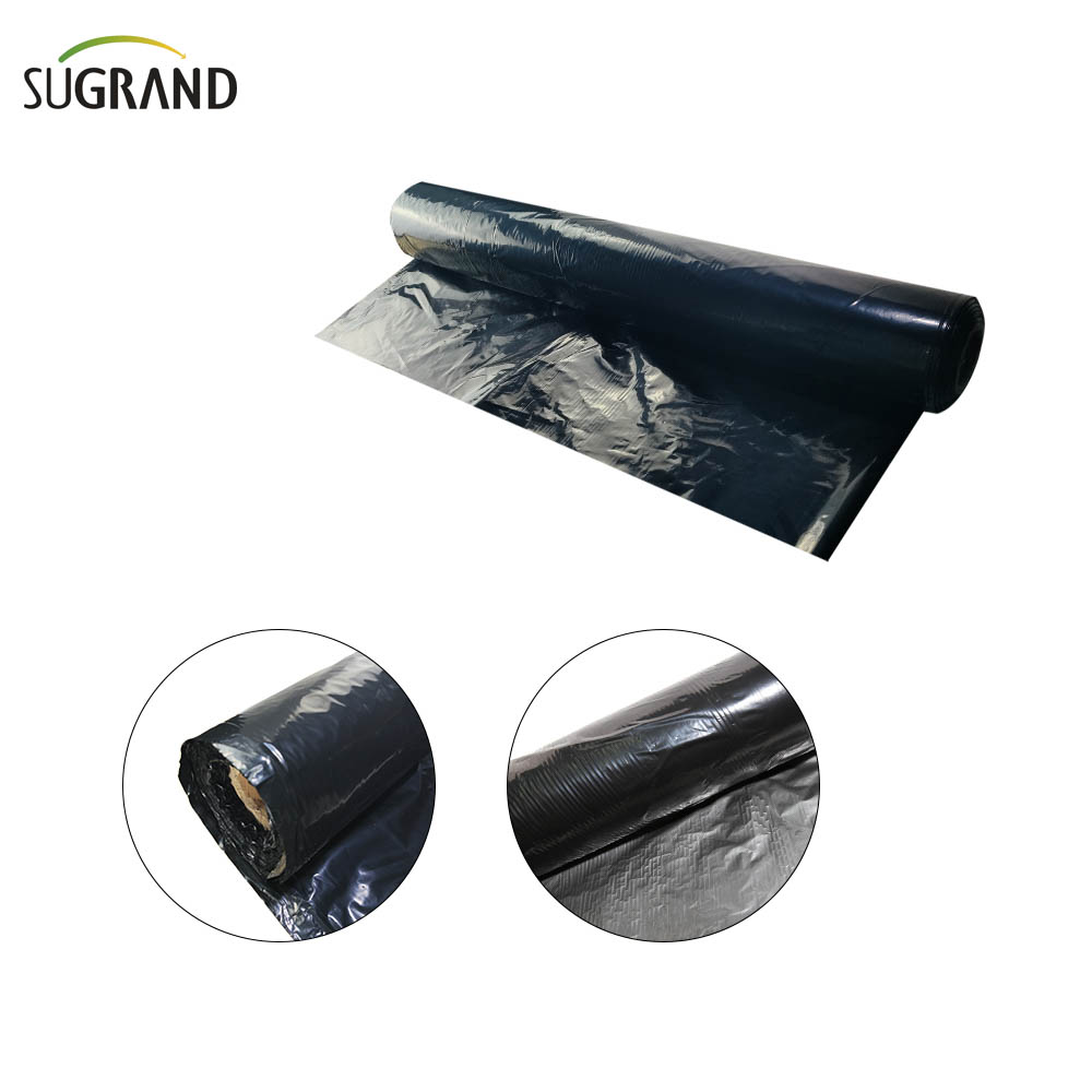 Biotelo Film Pacciamante Biodegradabile Agriplast Pacciamatura Agri Mulch