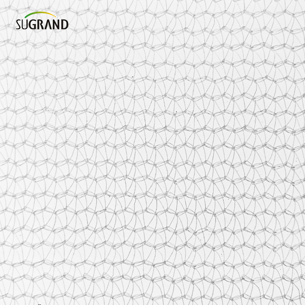 China Factory 80GSM White Building Safety Sickeding Net