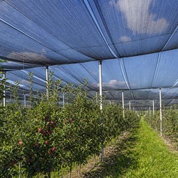 shade nets.jpg
