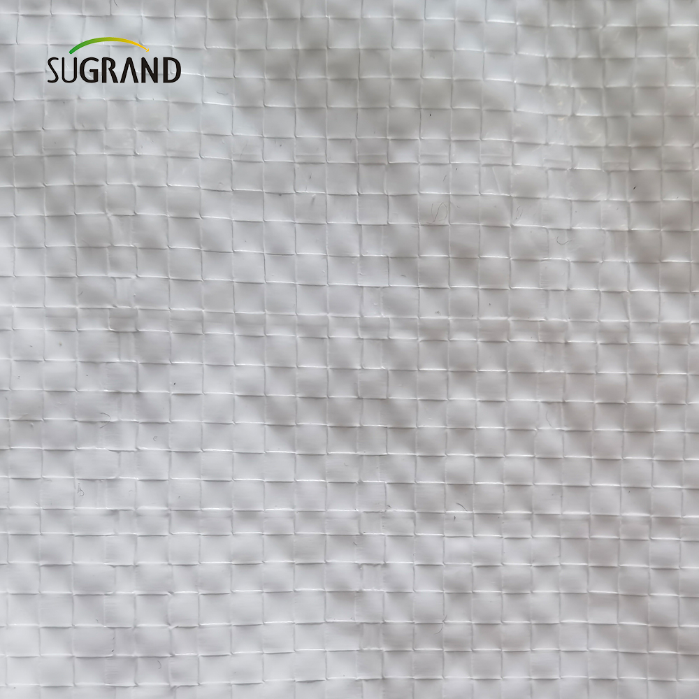 Factory Direct Wholesale White Plastic PE UV Foglio.