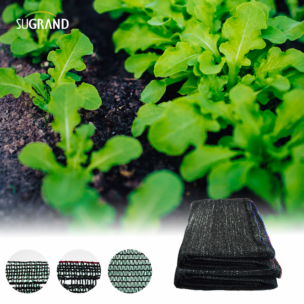 Netles Black nastro nero reti tonalità