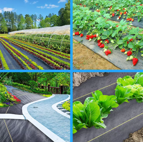 La copertura del terreno può maneggiare un tempo duro?