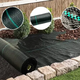 Come scegliere la migliore copertura del terreno per il tuo giardino