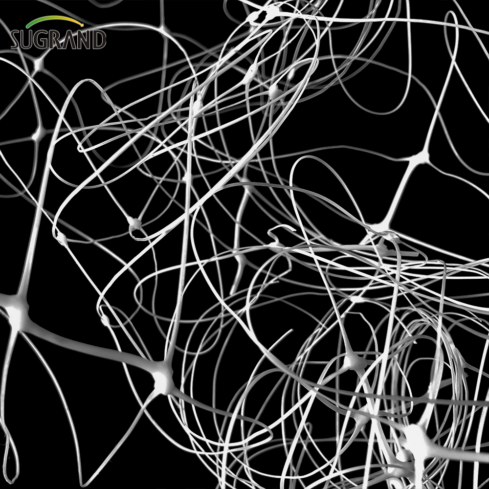 Nuova rete di supporto per piante da arrampicata per piante bianche HDPE