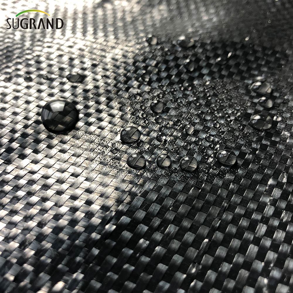 PP Verde e nero Copertura intrecciata Membrana Erbaccia