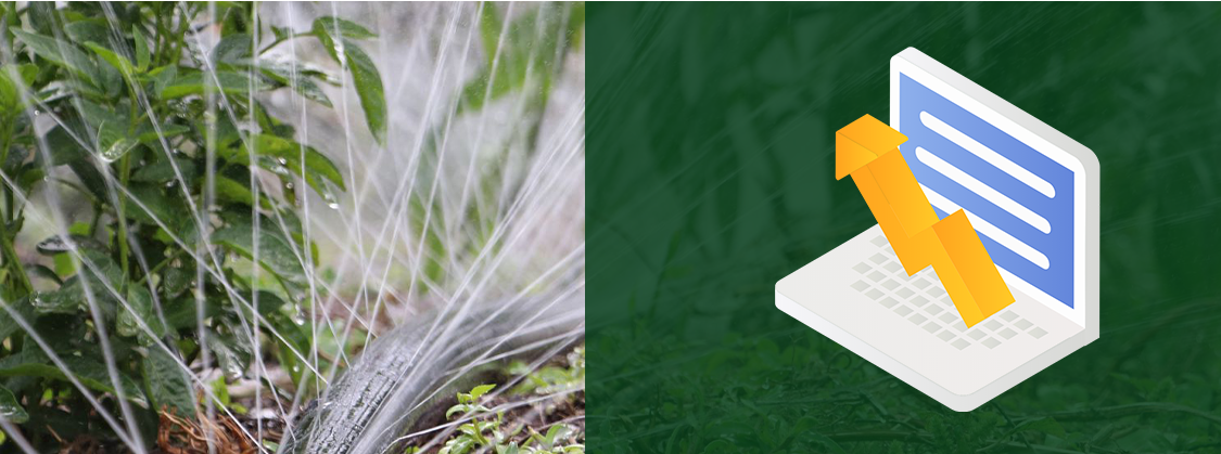 Irrigazione a goccia6