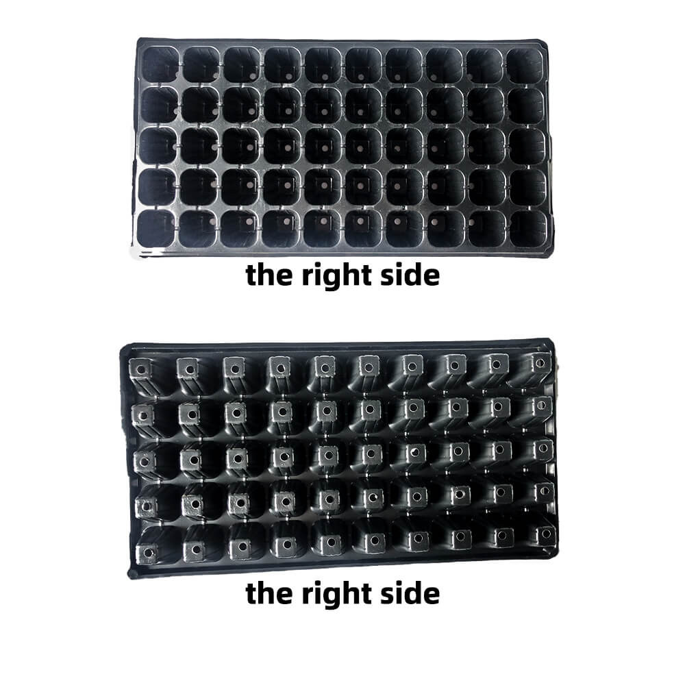 Pianta di semi germinazione verdura di fiori che coltivano vassoio giardino vassoio