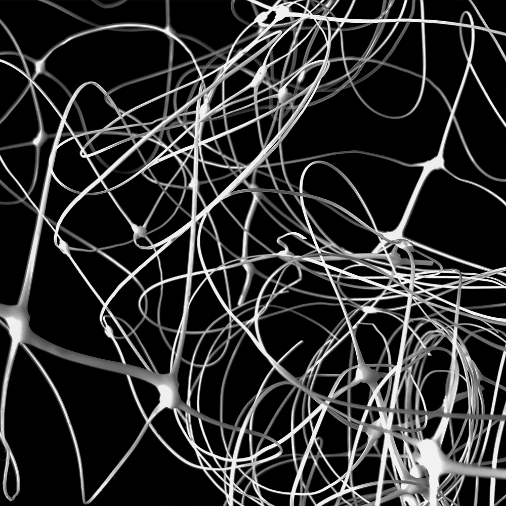 Supporto per piante Trellis da giardino netto per l'arrampicata per le piante all'aperto