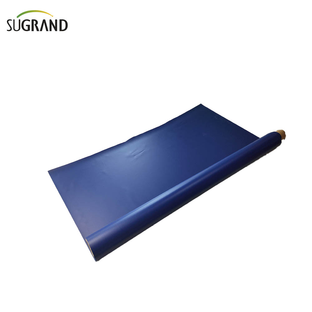 Blue 12x24 Tarpaulin Tarpaulin trasparente Duty 