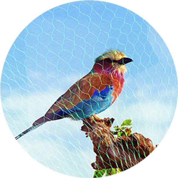 Net Anti Bird 75GSM all'ingrosso