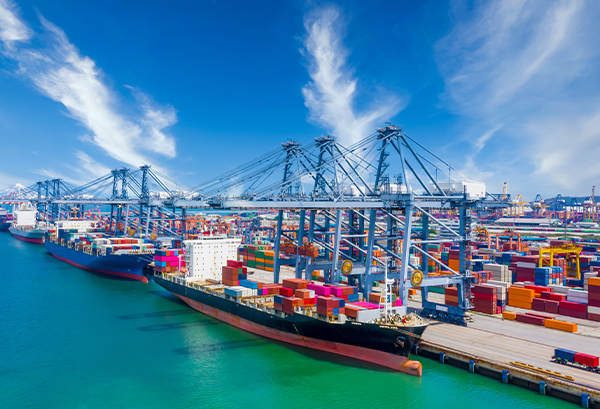 Ricca esperienza nella produzione e nell'esportazione 