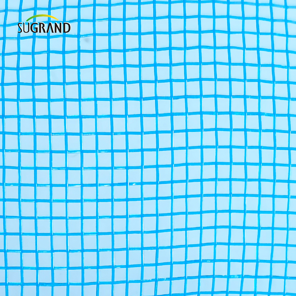 Blue HDPE e UV Mosquito Schermata Mesh Net per finestre o porta