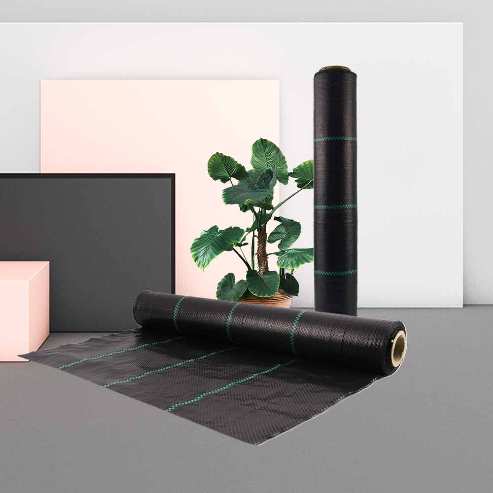 Copertina di terra di controllo erbaccia da 100 g/m2 di alta qualità per serra