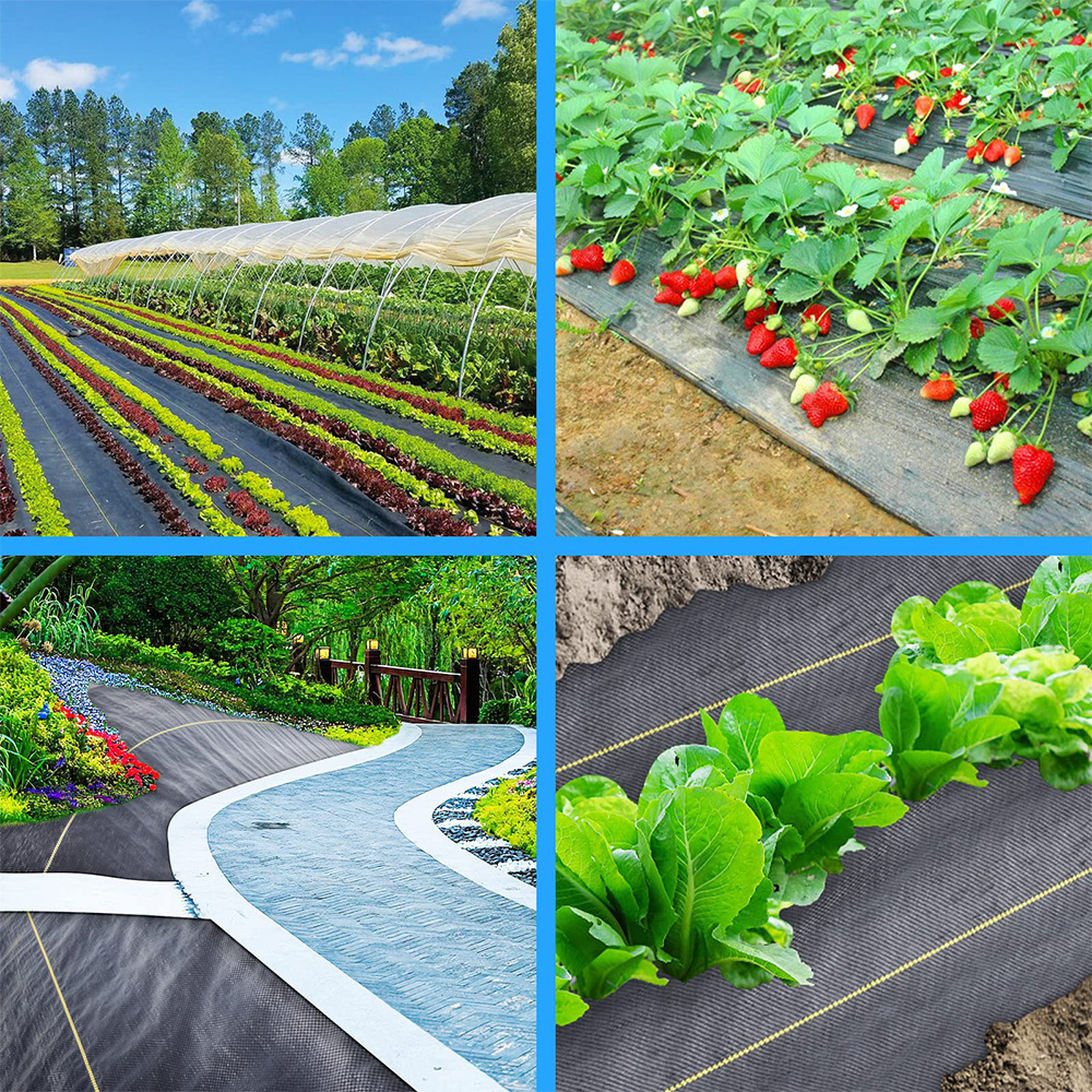 Polipropilene (PP) Copertura del terreno tessuto Barriera