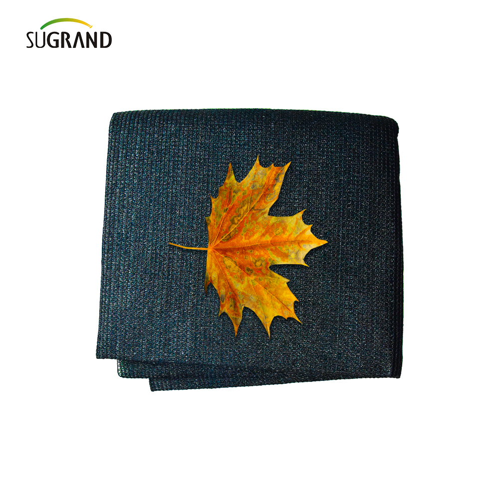 Sei aghi mono nastro mono verde scuro e nero.