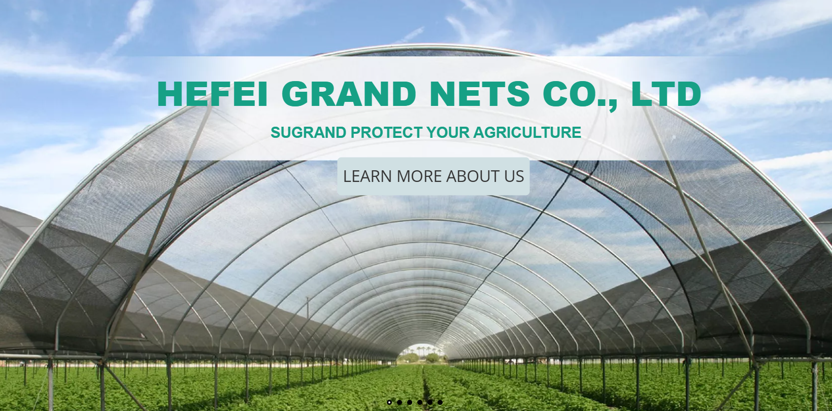 Qual è la migliore copertura del terreno per il controllo delle infestanti?